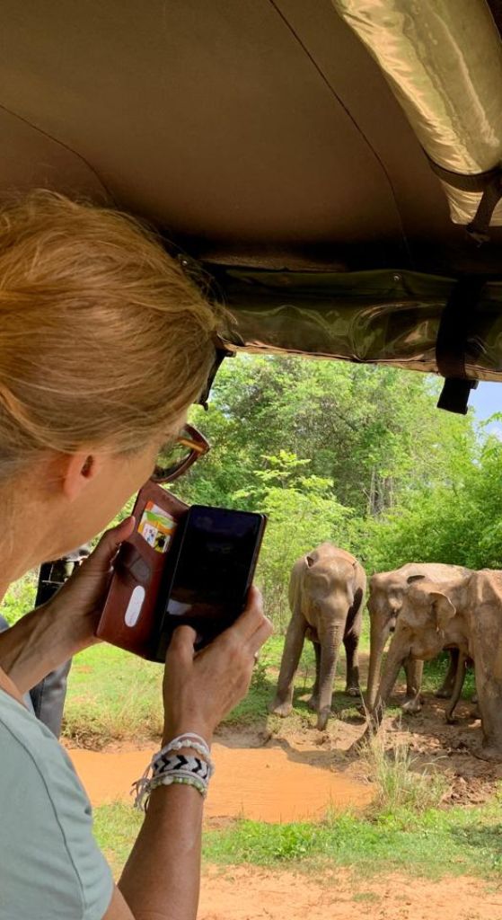 Safari jeep tour in Sri Lanka wildlife national park-yala