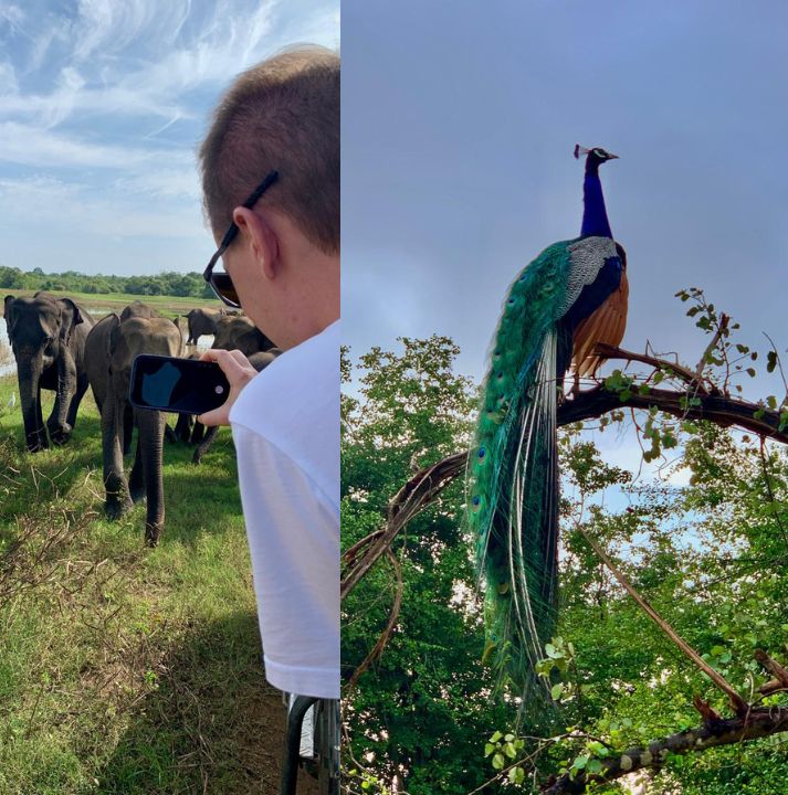 Yala National Park (1)